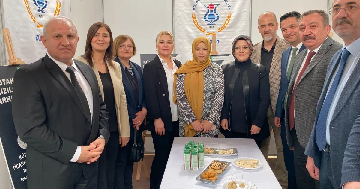 kutaf-kapilarini-acti-YbJBSiEM.webp
