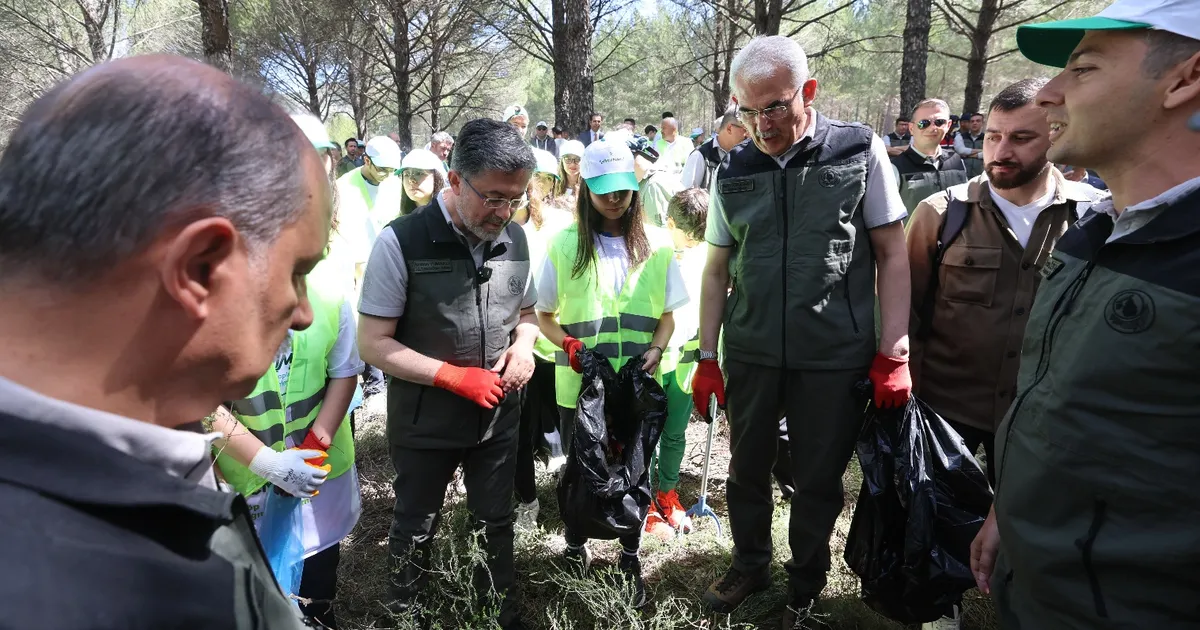 orman-yanginlarina-karsi-es-zamanli-temizlik-wntcfKvl.webp
