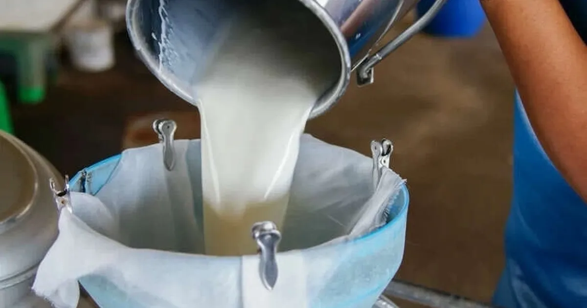 turkiyede-sut-uretimi-yukseliyor-martta-1-milyon-15-bin-ton-sut-toplandi-G3gbFVqA.webp
