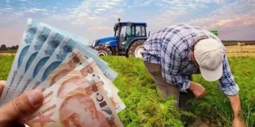 Çiftçilere 826 milyon TL'lik destek hesaplarda