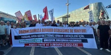 Artan orman yangınlarına Bursa'dan ses oldular! Mücadelede toplum temelli yaklaşık çağrısı