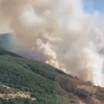 İzmir Bergama’daki yangın kontrol altında... Bilecik ve Sakarya’da müdahale sürüyor