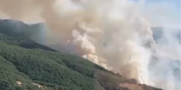 İzmir Bergama’daki yangın kontrol altında... Bilecik ve Sakarya’da müdahale sürüyor