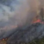 Muğla Seydikemer'de orman yangını