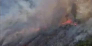 Muğla Seydikemer'de orman yangını